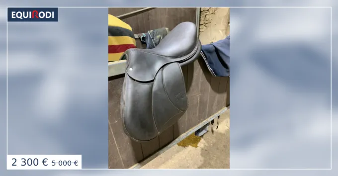 Vends selle voltaire Palm beach en veau 17.5 Expdi Aujourdhui