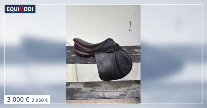 Selle dObstacle Arion 2023 18 pouces Commander Maintenant
