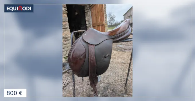 Selle cwd Prix Rduit