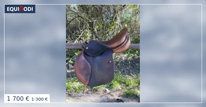 Livraison Gratuite Selle cwd 17,5