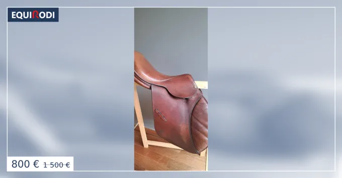Selle Obstacle Bruno Delgrange Nouvel Arrivage