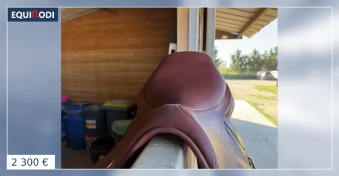 CWD Selle Optim close contact 17,5" Top Vente