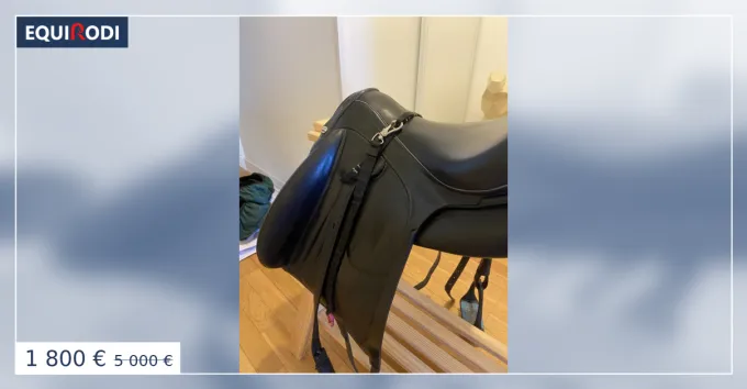 Affaire Saisir Selle de dressage