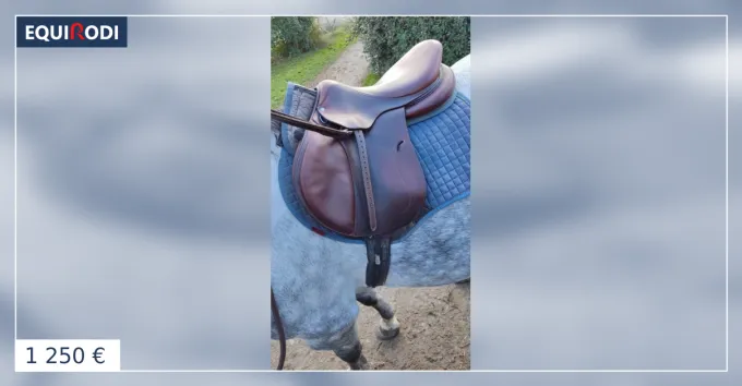 Selle Antars connexion Top Vente