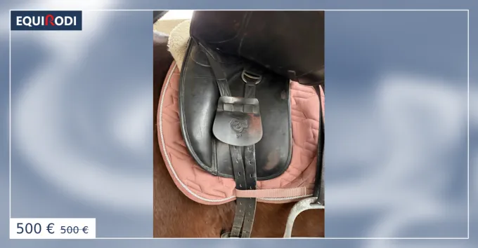Acheter En Ligne Selle ric Thomas dressage taille 17
