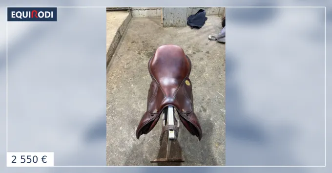 Usine Directe Selle jean Luc Maurel