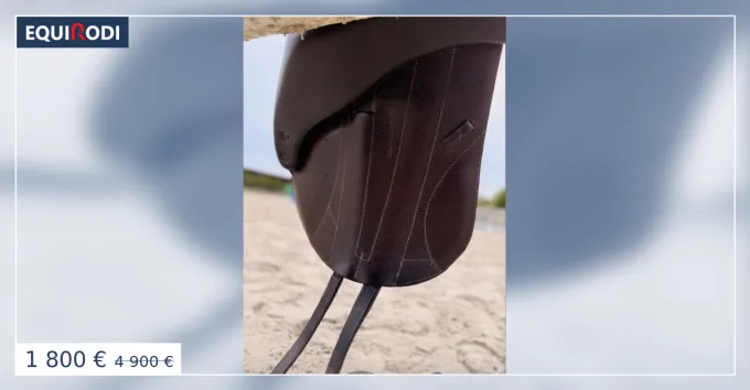 Commander Maintenant Selle Forestier Boeckelo
