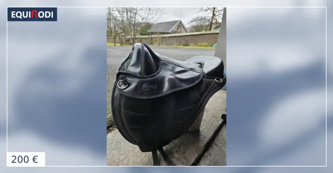 Selle randol's sans aron Jusqu puisement Des Stocks