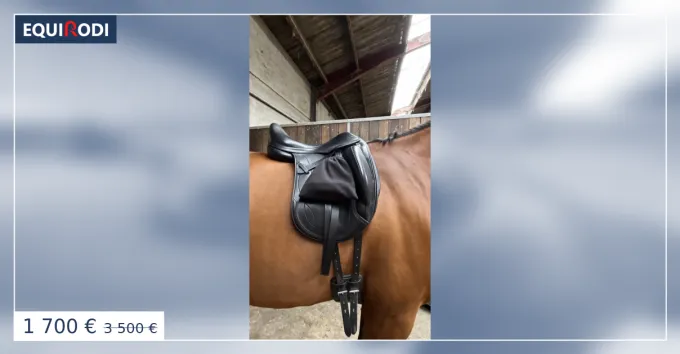 Selle de dressage quipe modle Olympia (2019) 17" Jusqu puisement Des Stocks