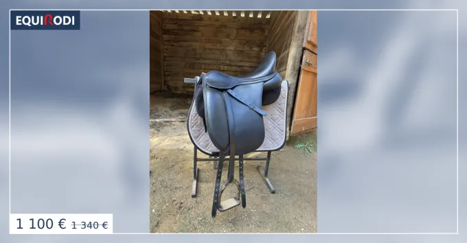 Offre Limite Selle Dressage Arena 18