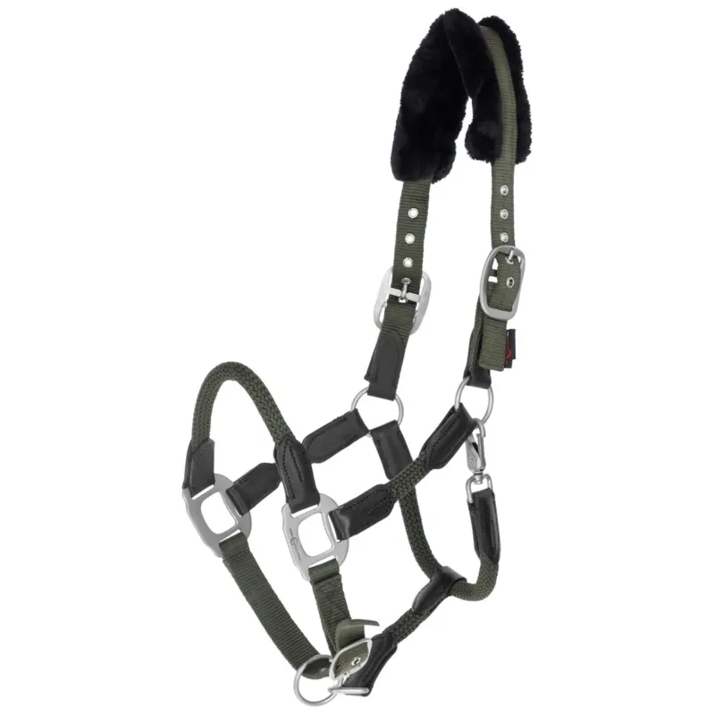 Licol Cordano vert olive - Cob Prix Choc