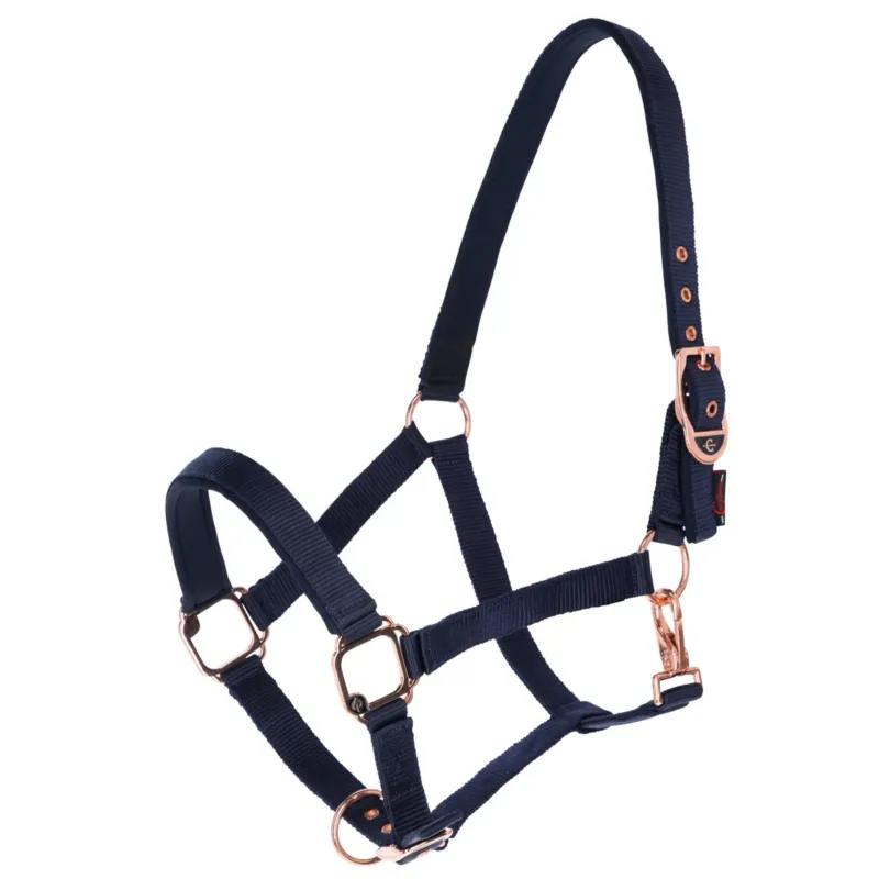 Licol Classy bleu navy - Cob Marque