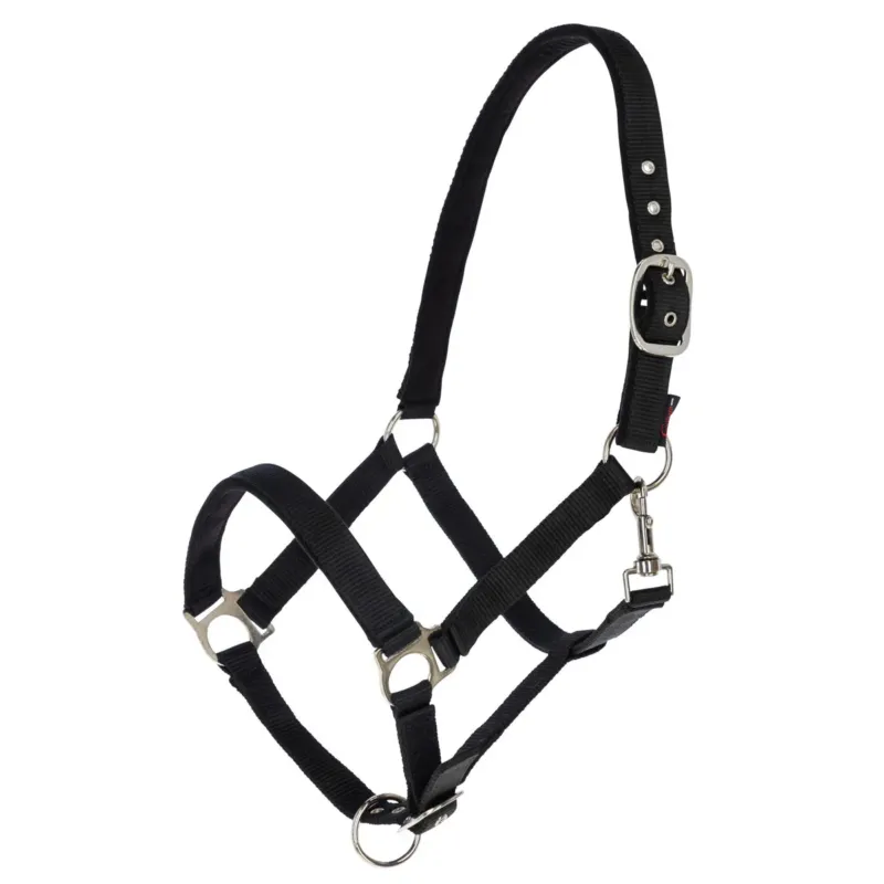 Offre Exclusive Licol Dexter noir avec doublure polaire - Shetland