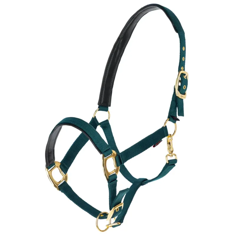 Achetez Aujourdhui Licol TopLine vert fort - Xfull