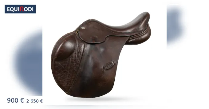 Acheter Direct Selle euroriding modle prestige