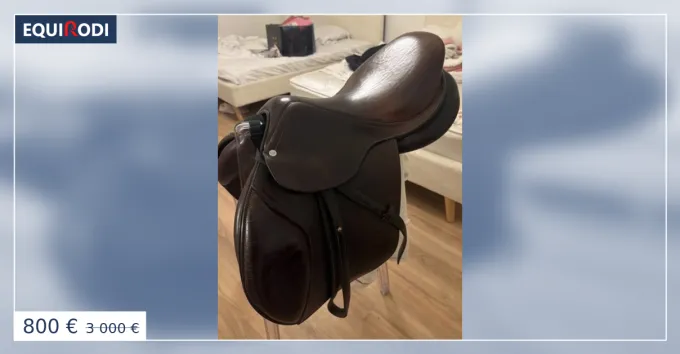 Selle GBS 16,5 Commander Maintenant