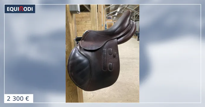 Jusqu puisement Des Stocks Selle GBS 17