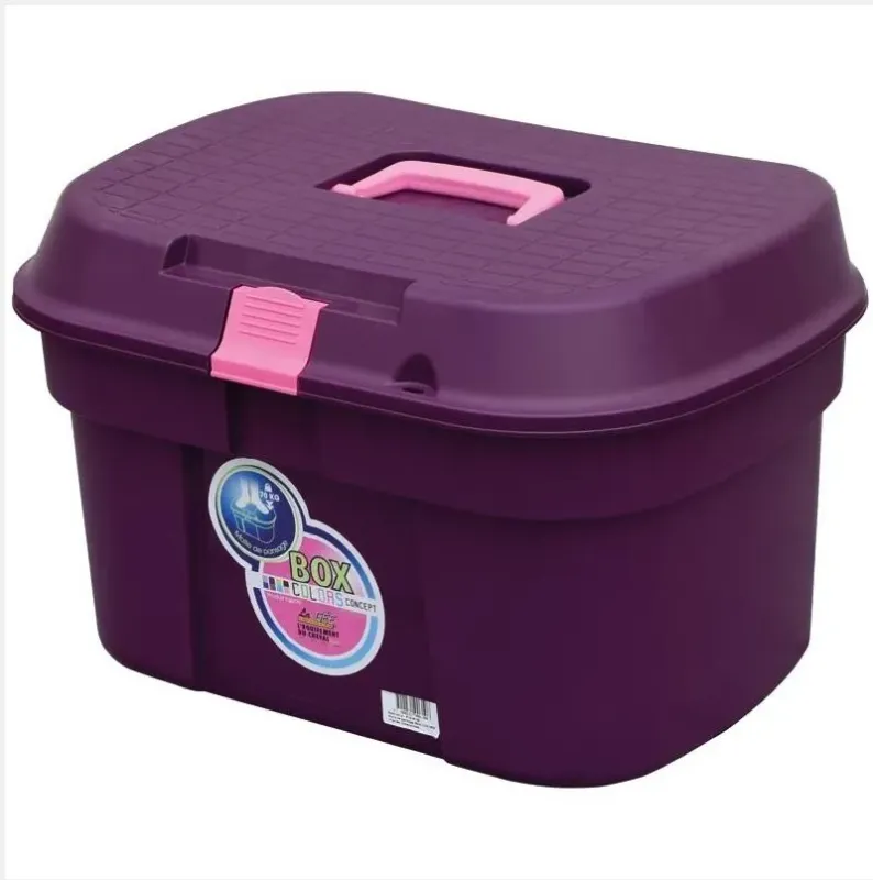 Must-Have Malle de pansage Box color violet