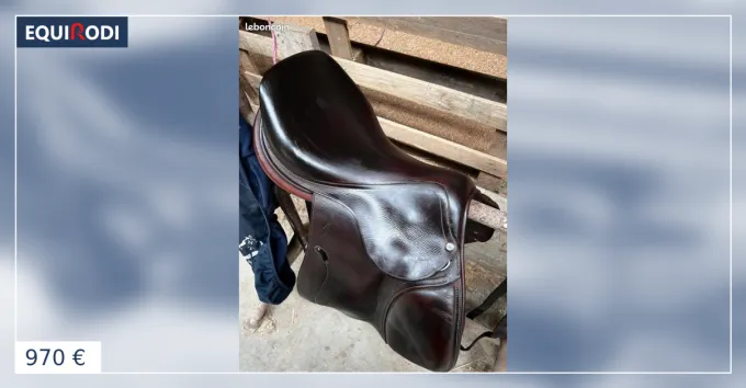 Prix Rduit Selle mixte ANTARES 17,5 / 2A