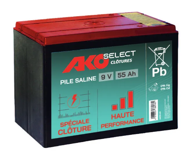 Offre Exclusive Pile saline AKO Select 9V 55Ah