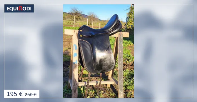Selle dressage Hippos Livraison Gratuite