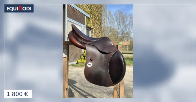 Expdition Rapide Selle Meyer 16,5&Prime; – 2018 – Excellent tat