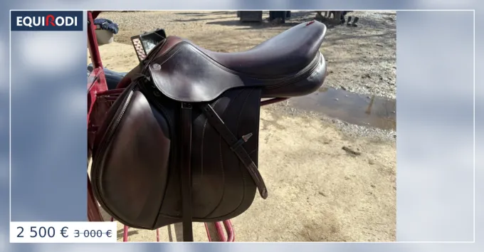 Selle T.18 Equipe Vente Flash