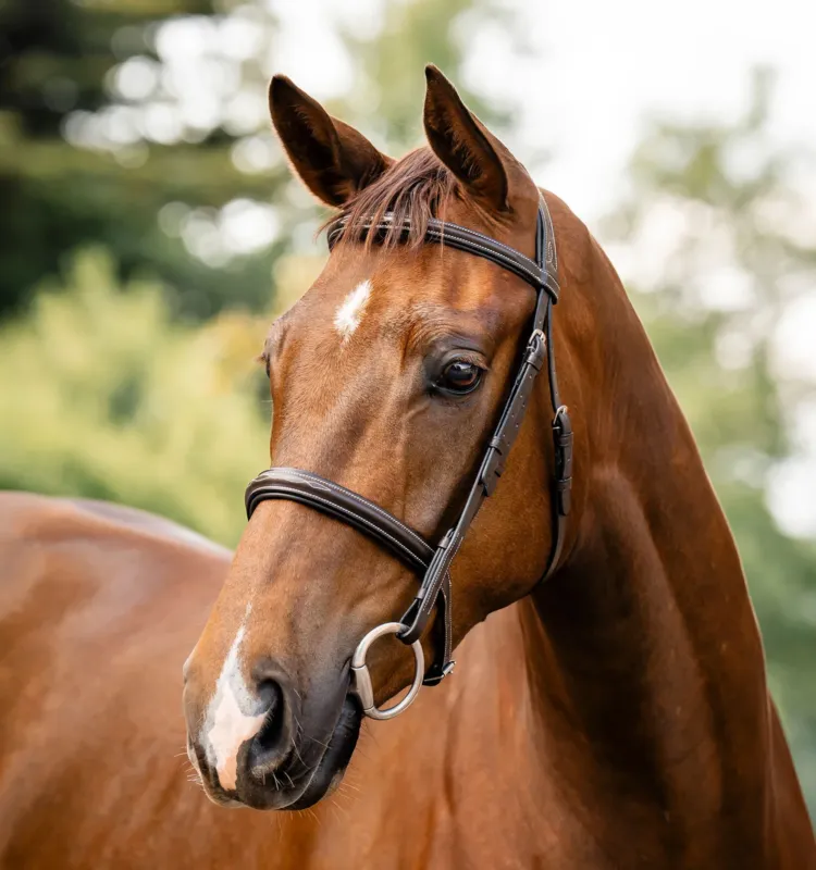 Bridon Horseware Hunter - Cob - Marron / havane Authentique