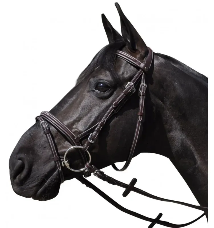 Bridon Wellington Combin Flags & Cup - Cheval - Marron Top Vente