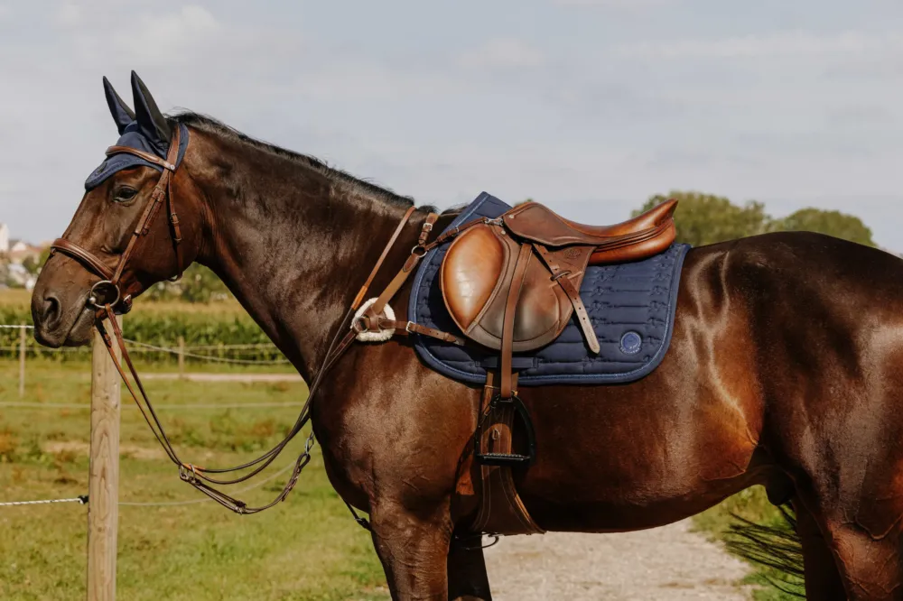 Commande En Gros Collier de chasse Norton 5 points - Cheval - Havane