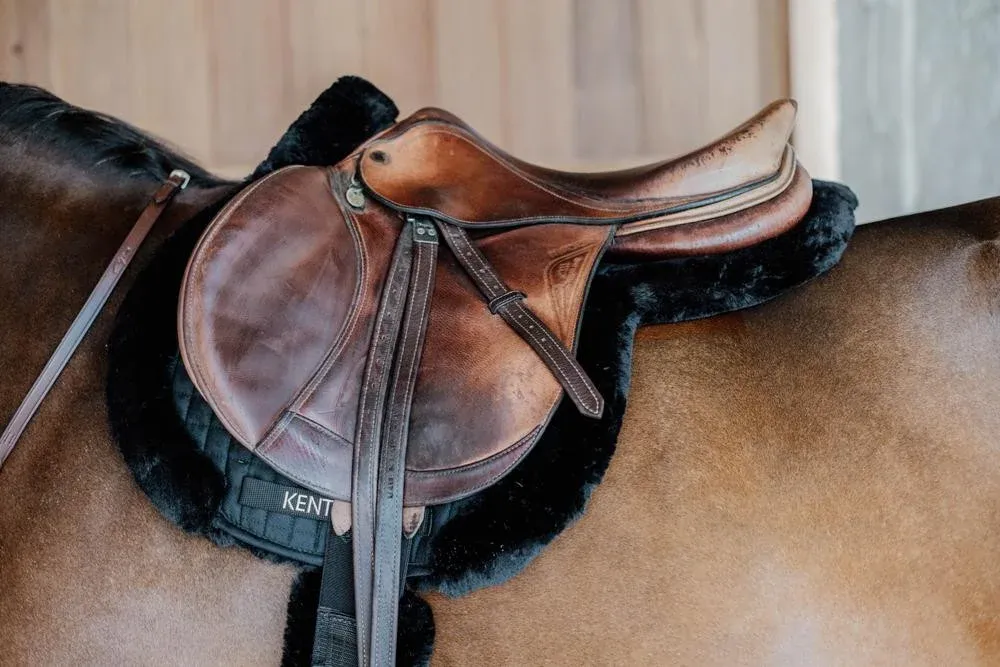 Tapis de selle Hunter mouton vegan jumping Kentucky - Cheval - Noir Seulement Aujourdhui