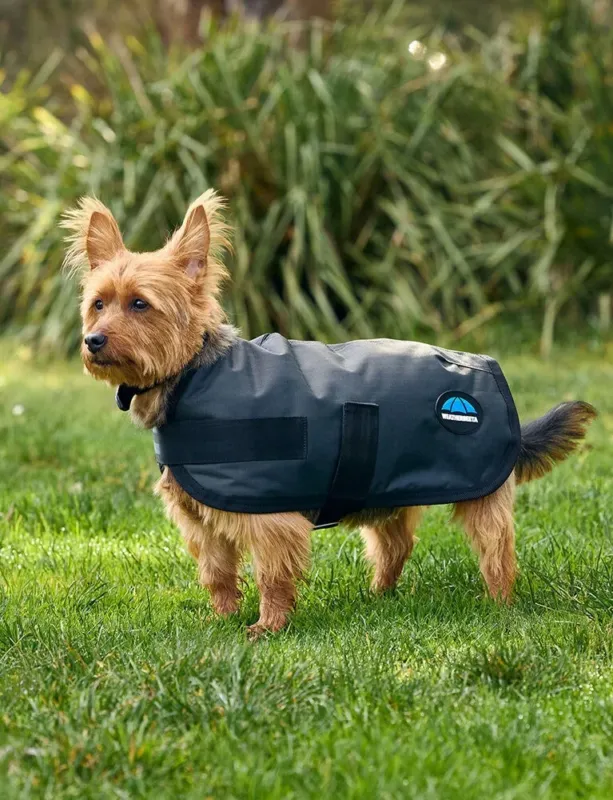 Expdi Aujourdhui Couverture impermable pour chien Weatherbeeta ComFiTec Classic - 55 cm - Charbon de bois