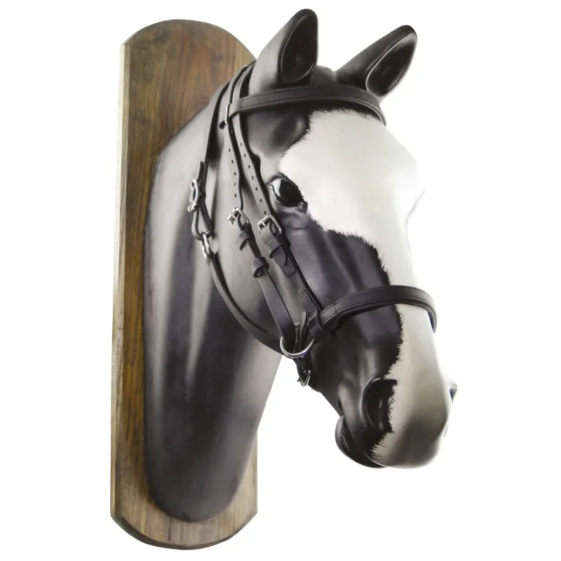 Bridon Biothane Horse Ball avec Rnes Umbria Equitazione – Cob – Marron Vente Directe
