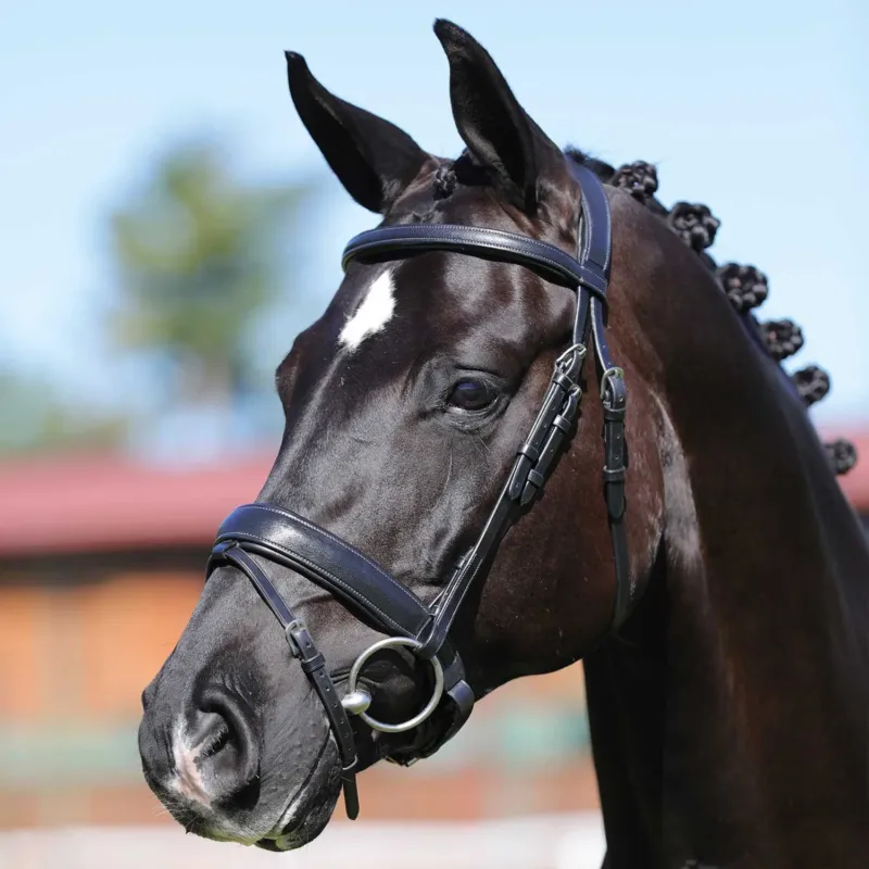 Prix Promo Bride en cuir de veau Filosofia Acavallo - Cheval - Noir