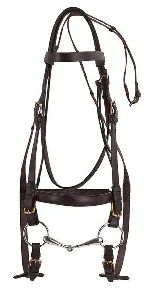 Quantit Limite Bridon Excelsior Cheval de Trait – Havane