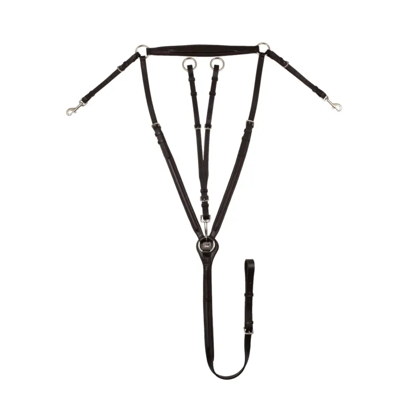 Livraison Express Collier de chasse Rembourr Classique avec Martingale Amovible Supreme - Cob - Marron