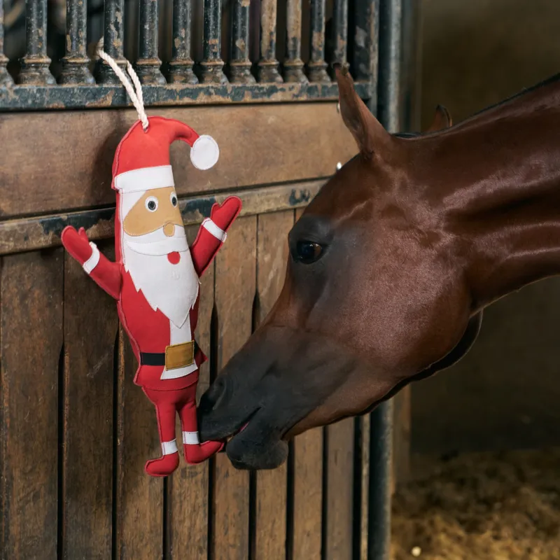 Jouet pour box Imperial Riding Santa - Rouge Prix Cass