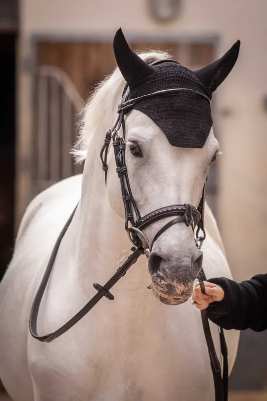 Bonnet Paddock Sports Pro Coton - Cheval - Noir Promotion