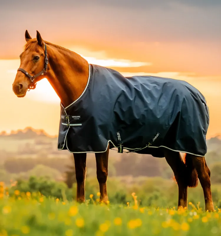Dernire Chance Couverture Horseware Amigo Ripstop 900D Turnout 200g - 125 cm - Marine witney