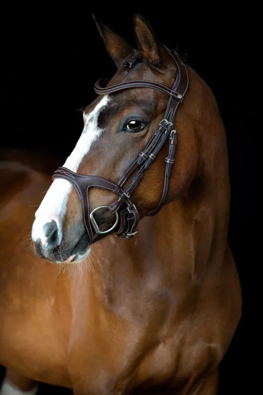 Prix Bas Bridon Montar Monarch cuir tann de manire organique - Grand cheval - Marron