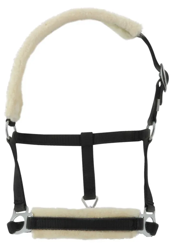 Licol foal Riding World mouton synthtique - Poulain - Noir Meilleur Prix