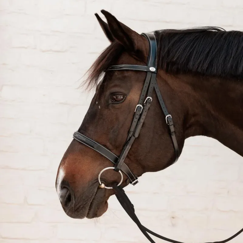 Bridon Hunter Dy&rsquo;on – Cob – Noir Certifi