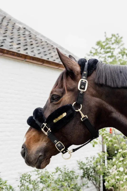 Licol Nylon mouton Soft Kentucky - Poney - Noir Commander Maintenant