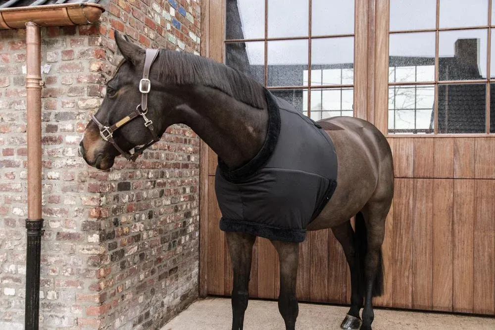 Petit Prix Protge Poitrail Kentucky - L - Noir