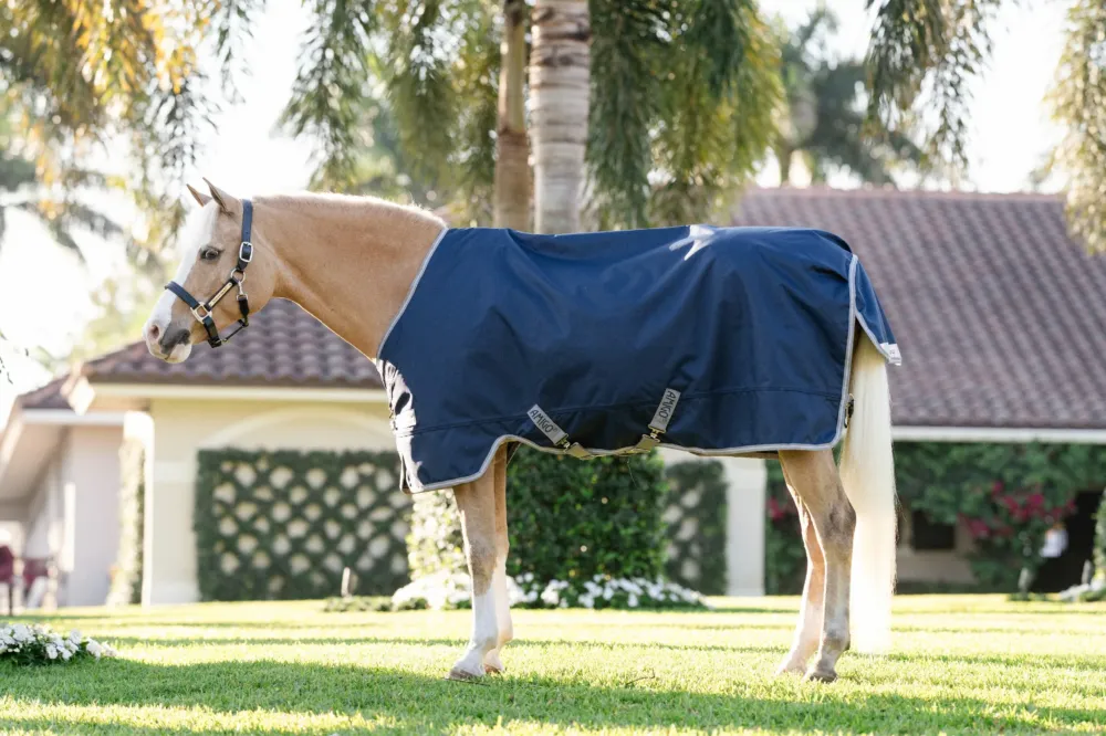 Paiement Scuris Couverture Horseware Amigo 1200D Poney Turnout 250g - 125 cm - Marine / gris titane / argent