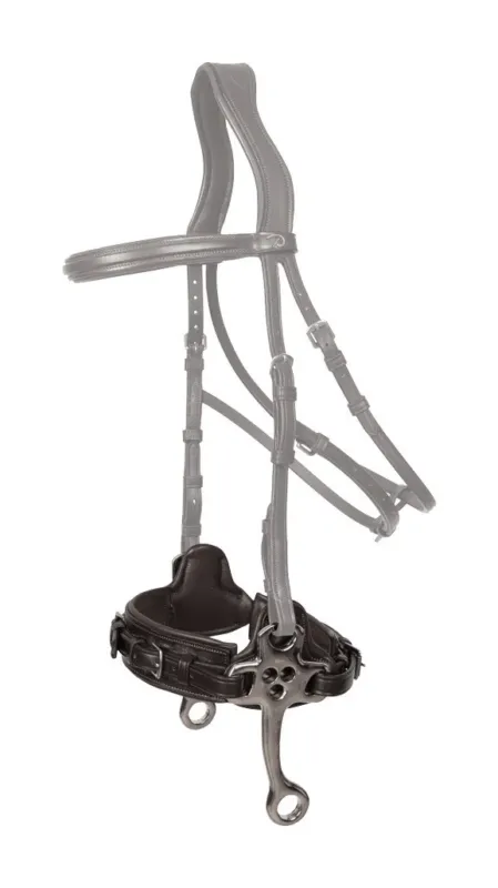Hackamore Dy&rsquo;on New English – Grand cheval – Noir Acheter Direct