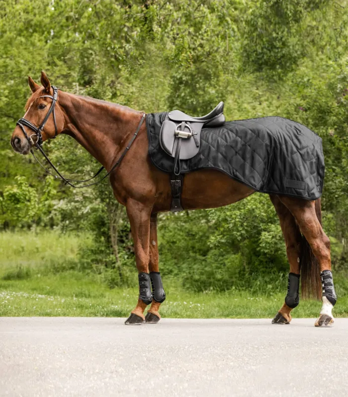 Couvre-reins Waldhausen Exclusive 50 g - Poney - Noir Bon Plan
