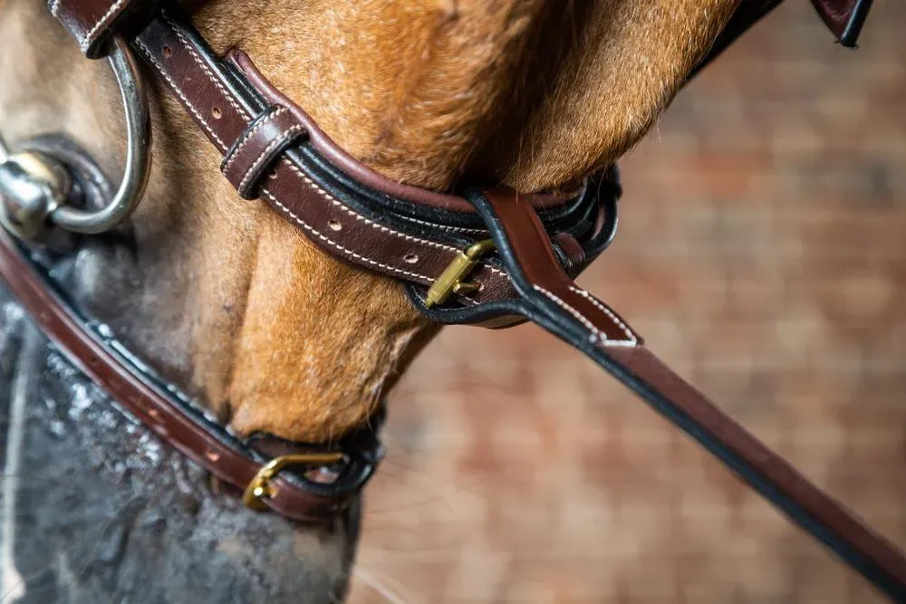 Usine Directe Fourche de martingale Fixe D Collection by Dy'on - Cheval - Brun