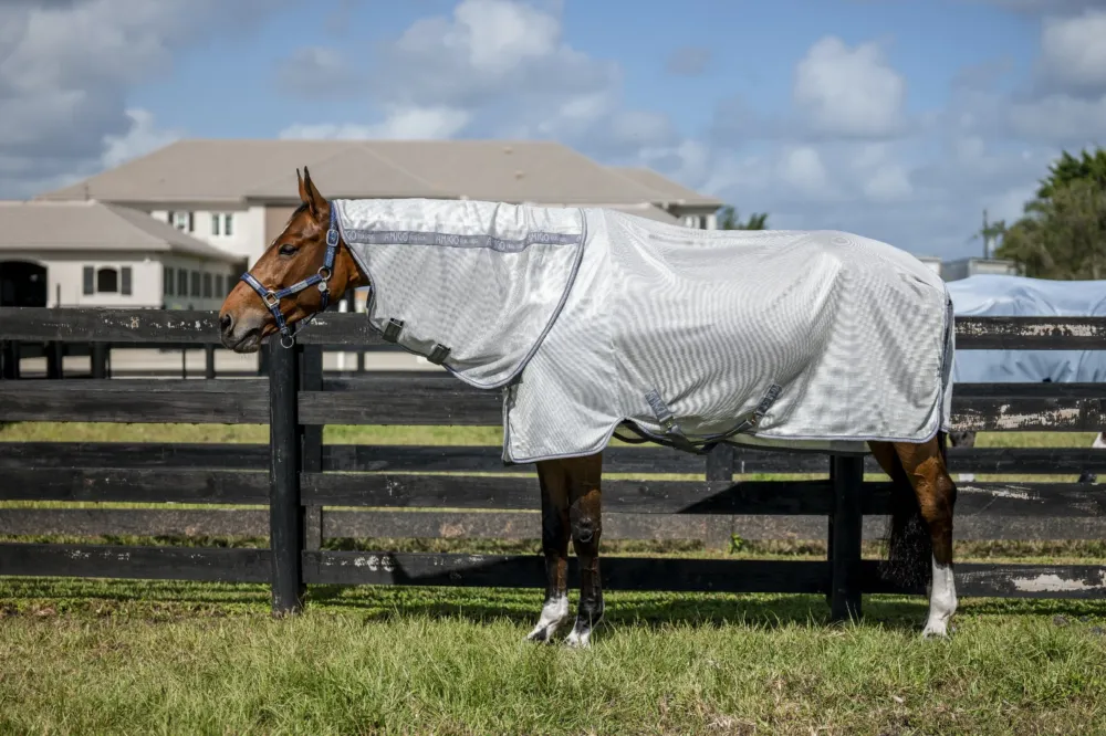 Nouveaut Chemise anti-mouches Horseware Amigo Bug Rug Plus - 115 cm - Argent / gris titanium / argent