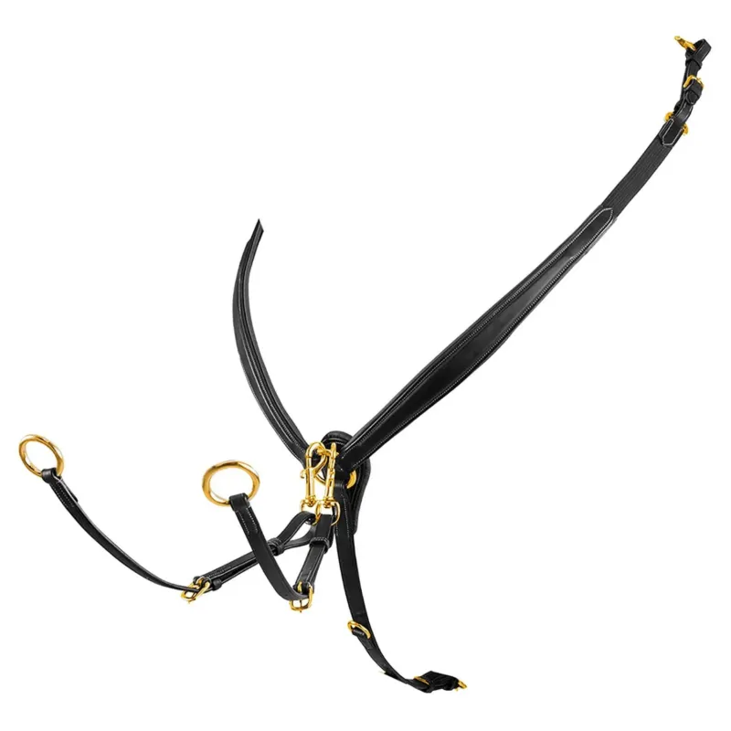 Collier de chasse obstacle en cuir avec boucles en acier Equestro – Cheval – Noir Livraison Gratuite